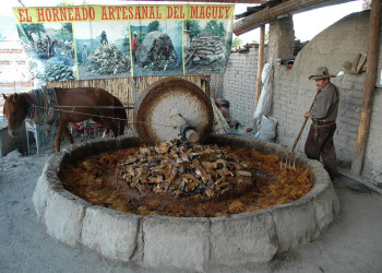 Производство Мескаля. Мексика – фотографии Мексики