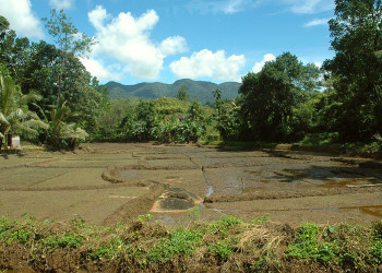 Китулгала, Шри-Ланка, фото № 51481 – фотографии Шри-Ланки