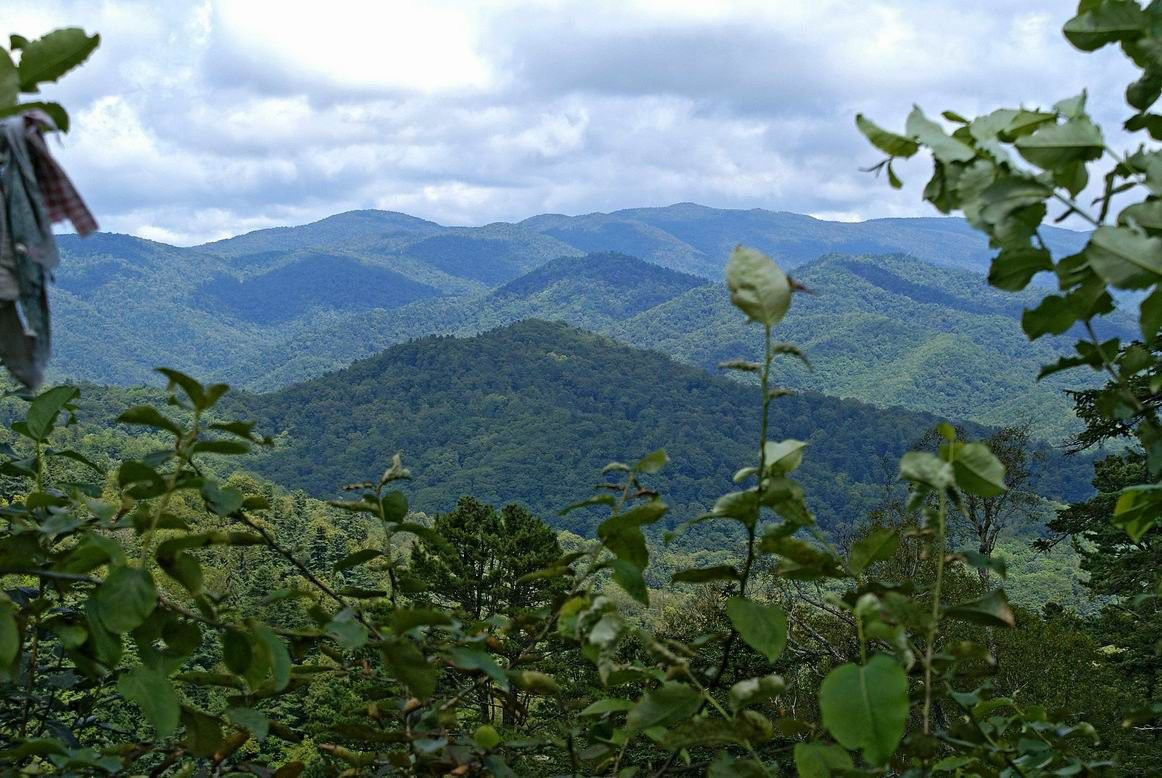 Лазовский заповедник, Россия. Фото 4 – фотографии России