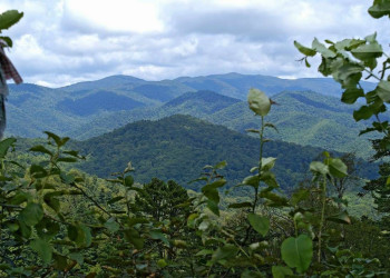 Лазовский заповедник, Россия. Фото 4 – фотографии России