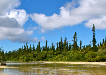 Остров Пен (Isle of Pines) в Новой Каледонии. Фото 12 – фотографии Новой Каледонии