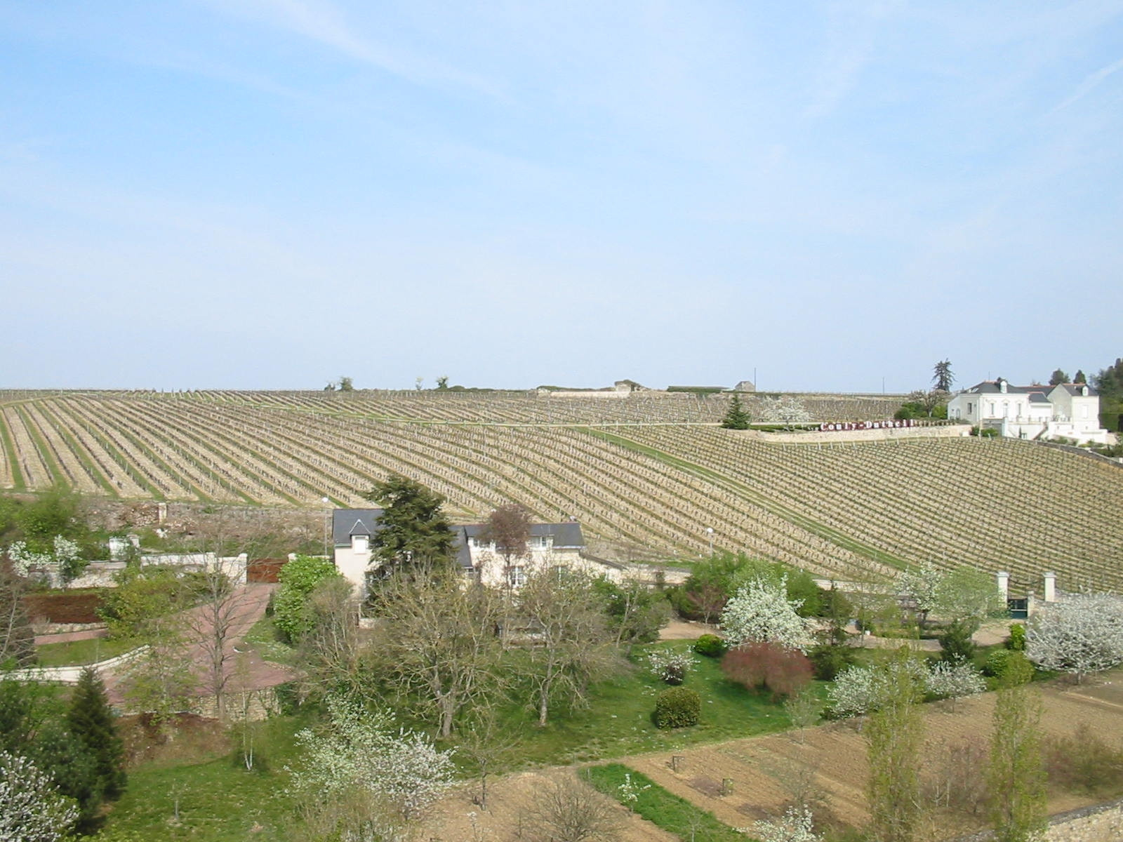 Поля в Шиноне, Франция – фотографии Франции