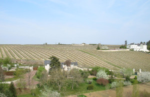 Поля в Шиноне, Франция – фотографии Франции