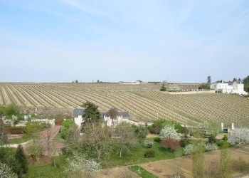 Поля в Шиноне, Франция – фотографии Франции