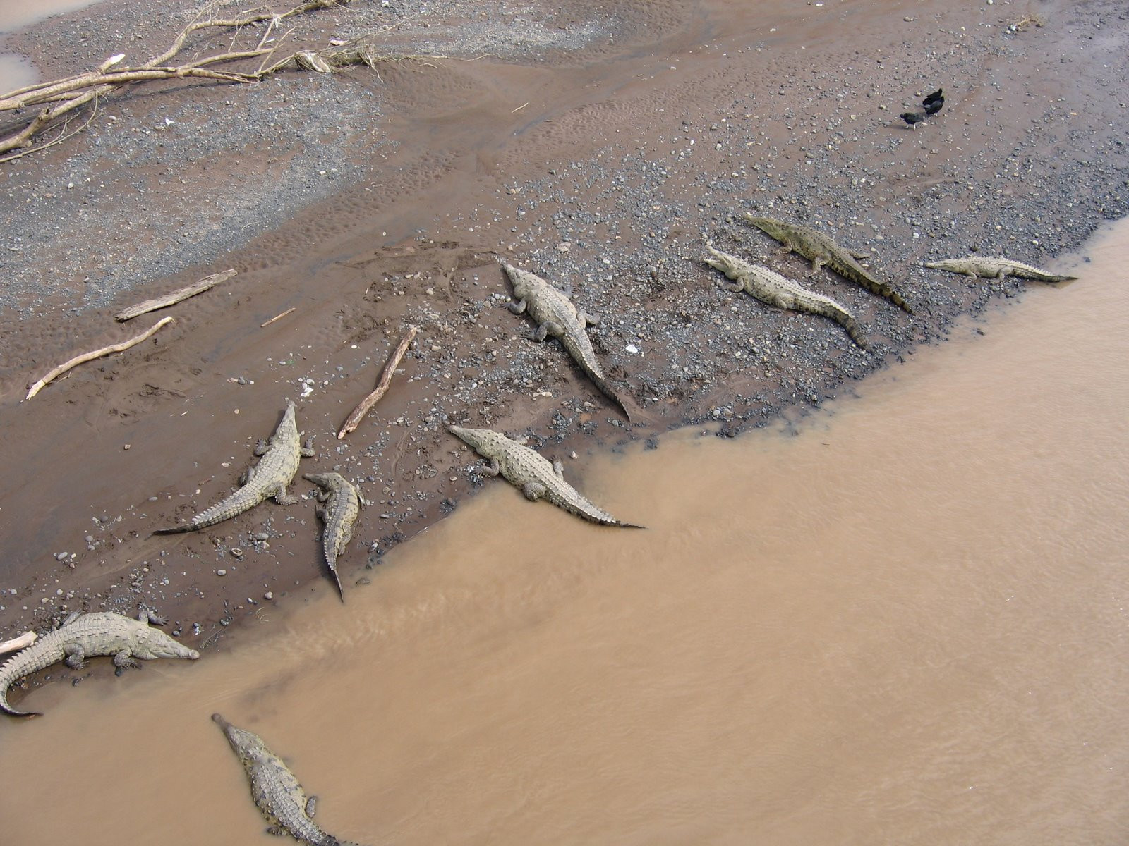 Коста-Рика, фото № 795 – фотографии Коста-Рики