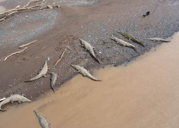 Коста-Рика, фото № 795 – фотографии Коста-Рики