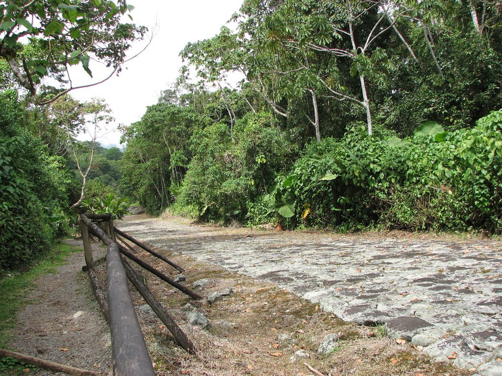 Гуаябо, Картаго провинция, Коста-Рика, фото № 39160 – фотографии Коста-Рики