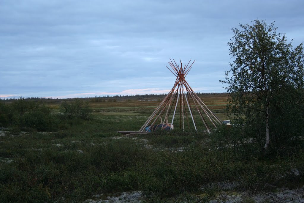 Поле в Нарьян-Мар, Россия – фотографии России