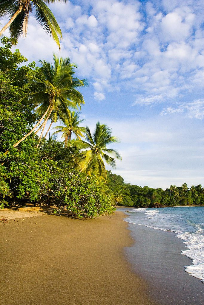 Плайя Сан Хосекито, Пунтаренас провинция, Коста-Рика, фото № 40932 – фотографии Коста-Рики