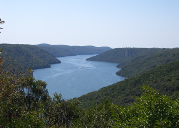 Природа Лимского канала, Хорватия. Фото 12 – фотографии Хорватии