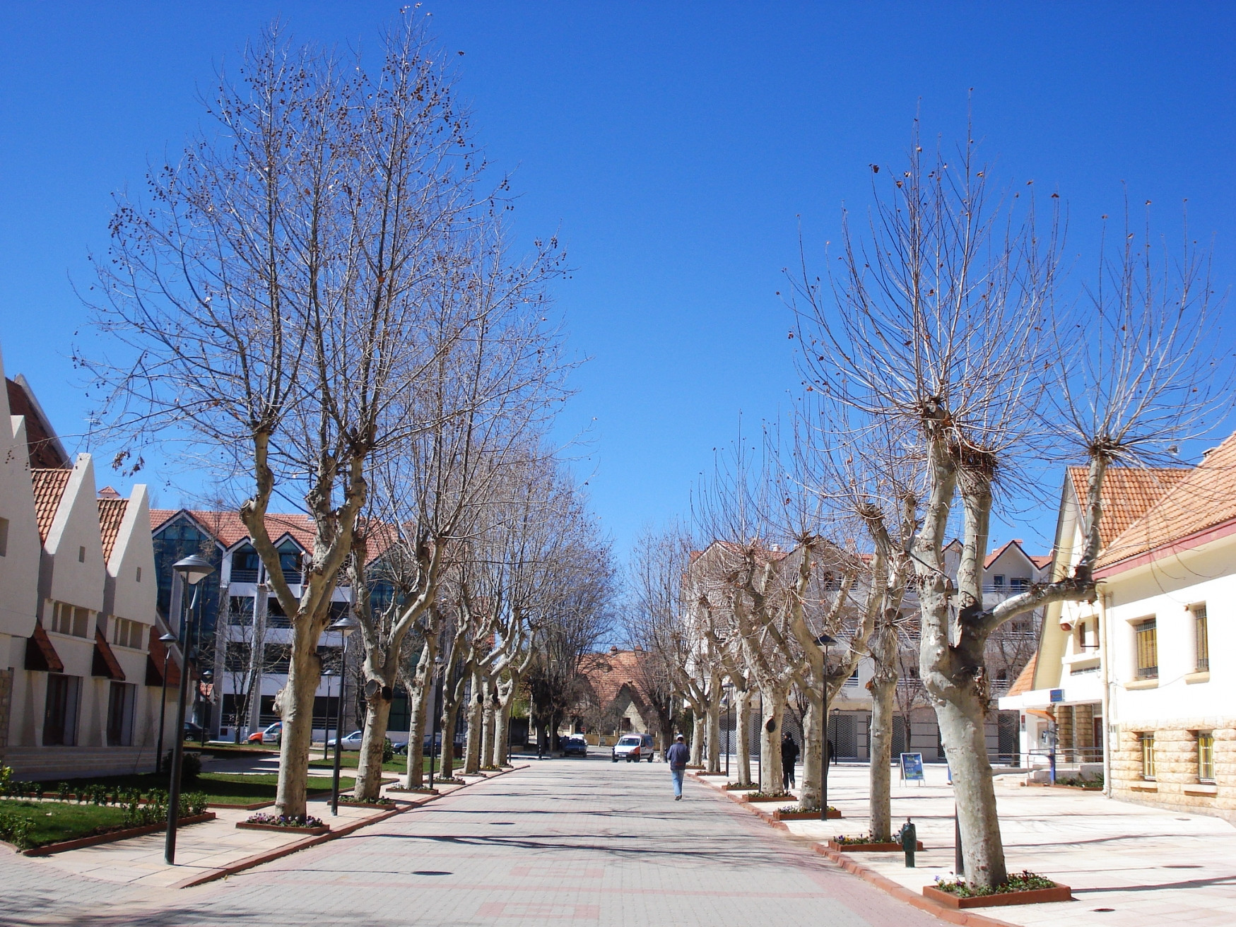 Ифран, Марокко, фото № 7501 – фотографии Марокко