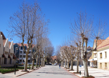 Ифран, Марокко, фото № 7501 – фотографии Марокко