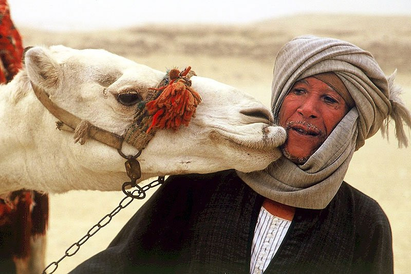 Египет, фото № 542 – фотографии Египта