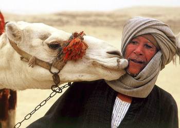 Египет, фото № 542 – фотографии Египта