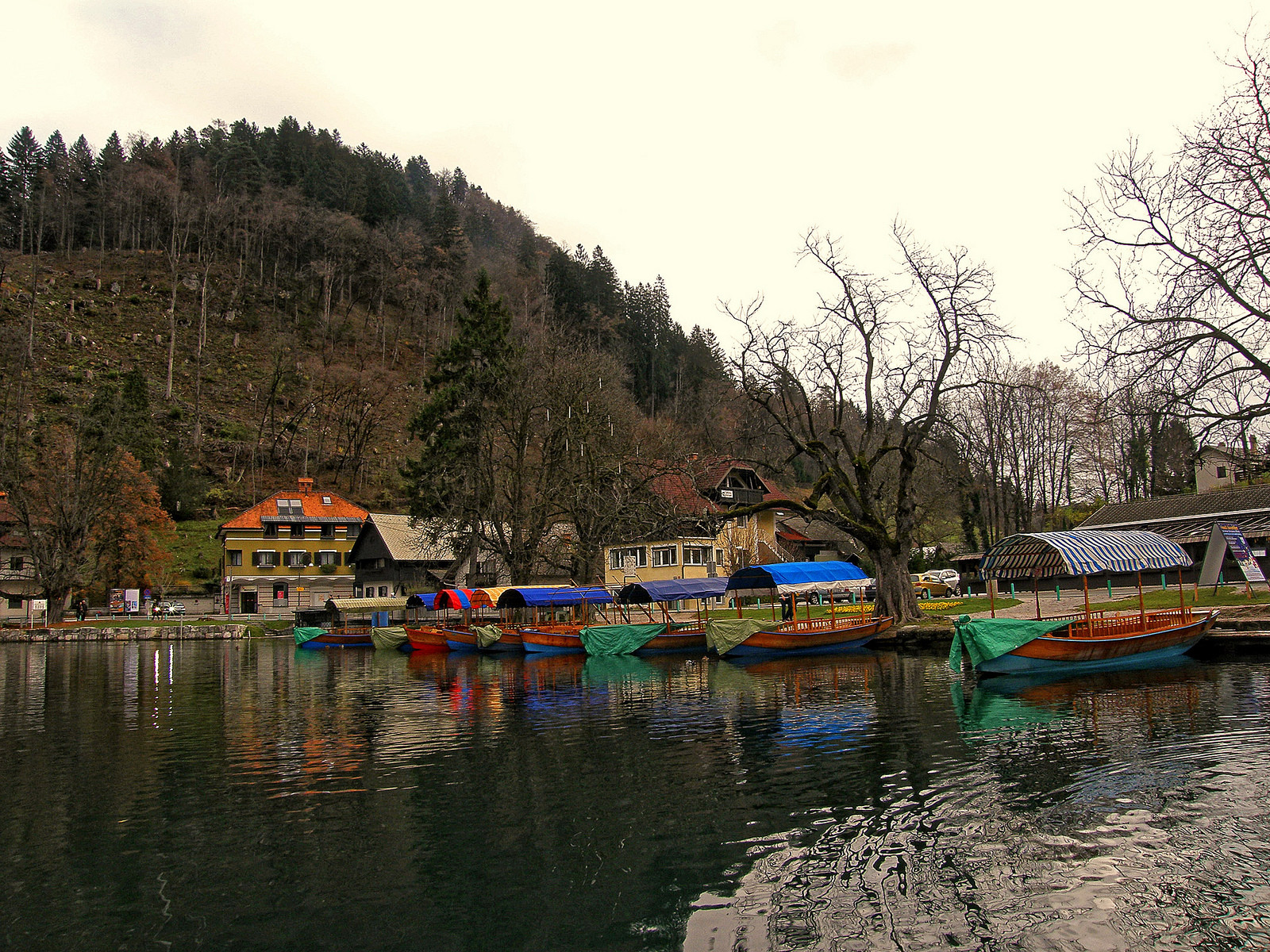 Озеро Блед (Bled Lake), Словения. Фото 1 – фотографии Словении