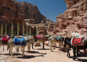 Петра, Иордания, фото № 37336 – фотографии Иордании