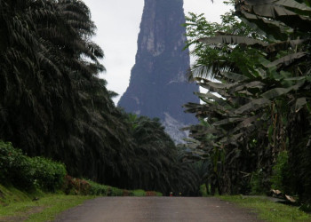 Сан Томе остров, Сан-Томе и Принсипи, фото № 58595 – фотографии Сан-Томе и Принсипи