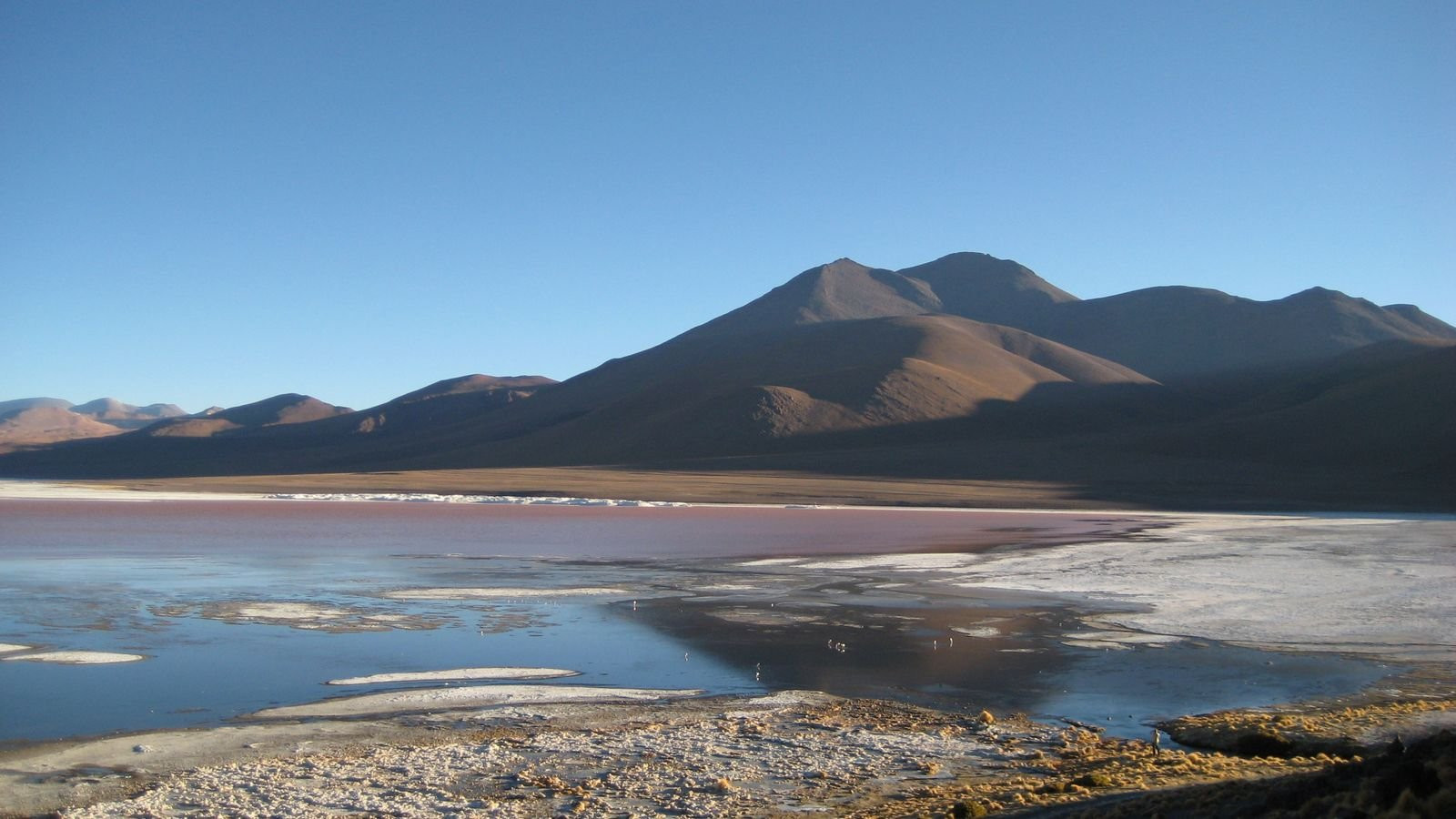 Laguna Colorada – фотографии Боливии