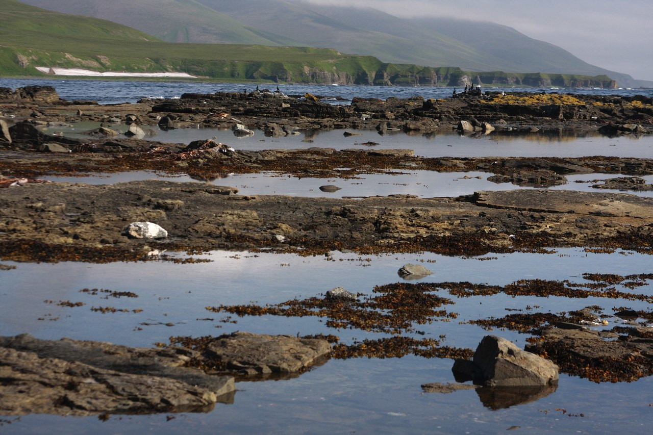 Командорские острова, Россия. Фото 10 – фотографии России