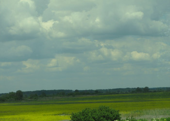 Поле в Словонии, Хорватия. Фото 1 – фотографии Хорватии