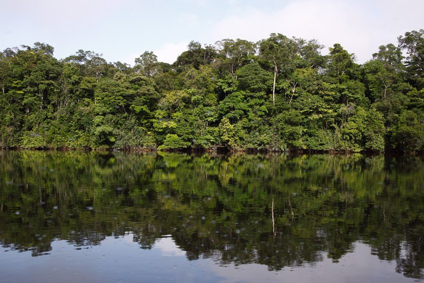 Французская Гвиана, фото № 2109 – фотографии Французской Гвианы