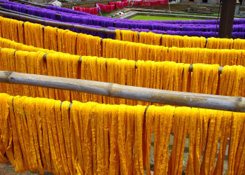 Бхактапур, Непал, фото № 78978 – фотографии Непала