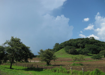 Ринкон де ла Виеха Национальный Парк, Гуанакасте провинция, Коста-Рика, фото № 39273 – фотографии Коста-Рики