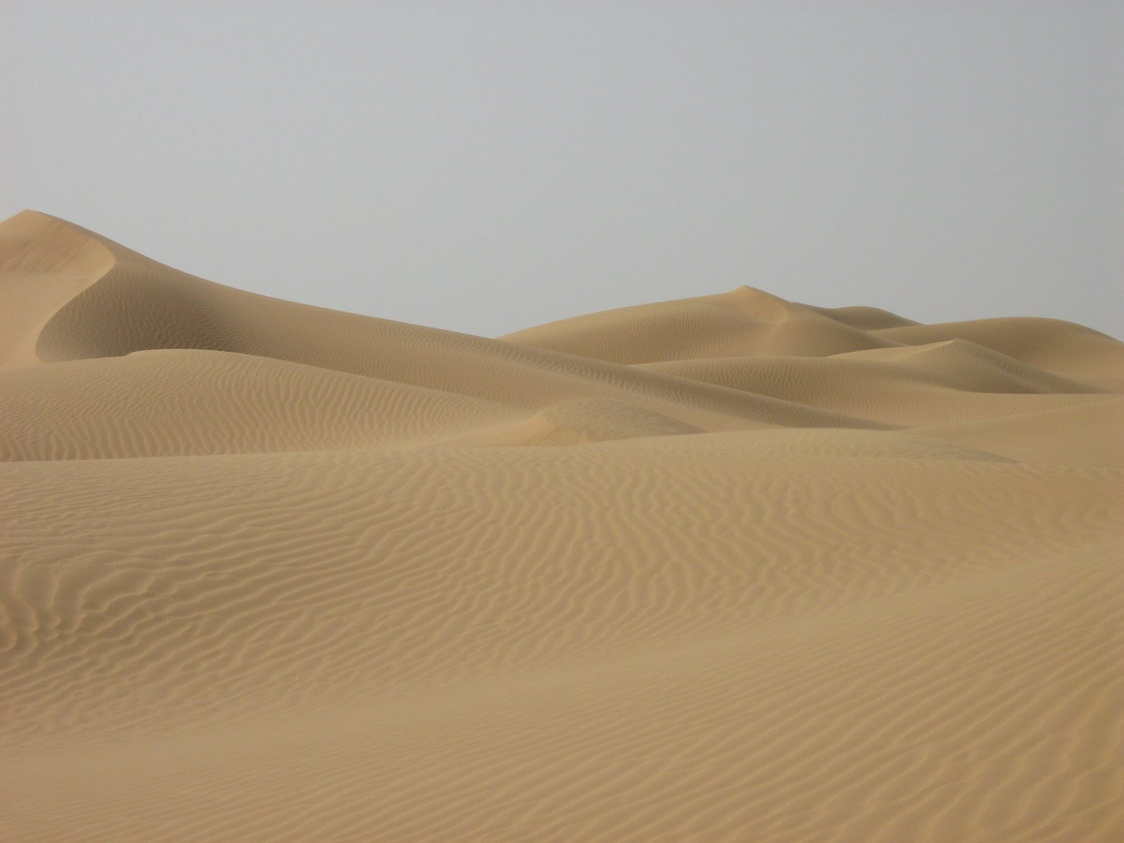 Загора, Марокко, фото № 7446 – фотографии Марокко