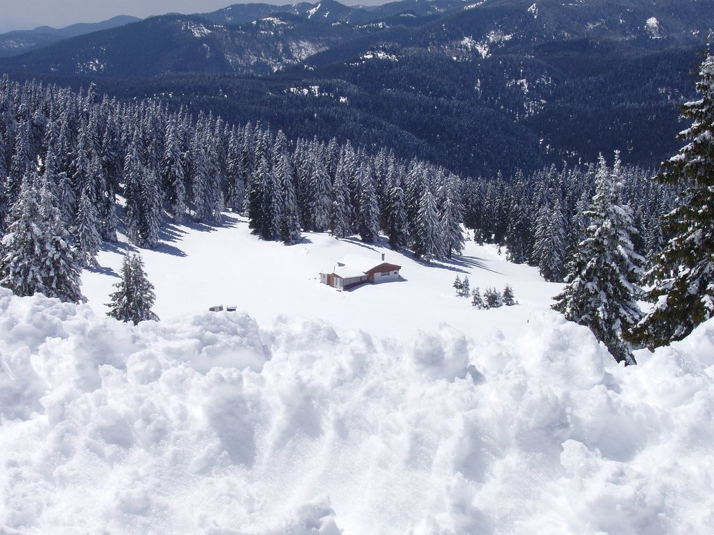 Природа  в Пампорово, Болгария. Фото 14 – фотографии Болгарии
