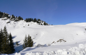 Снег в Самоене, Франция. Фото 1 – фотографии Франции