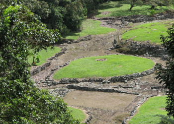 Гуаябо, Картаго провинция, Коста-Рика, фото № 39163 – фотографии Коста-Рики