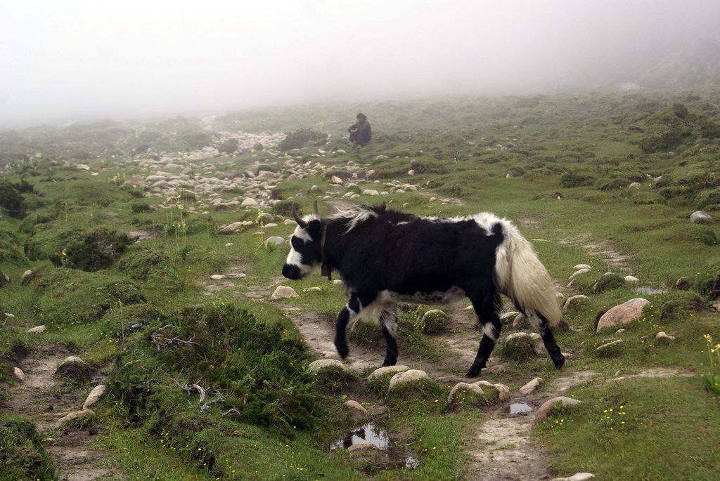 Сагарматха Национальный Парк, Непал, фото № 79056 – фотографии Непала