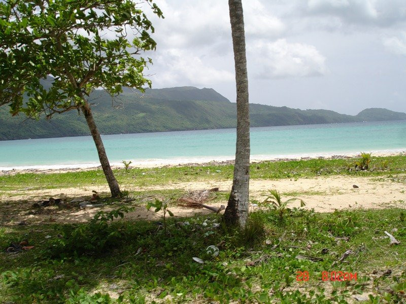 Самана, Доминикана, фото № 30580 – фотографии Доминиканы