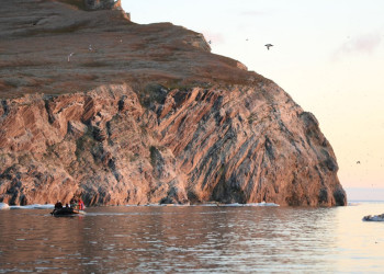 Остров Врангеля, Чукотка, Северный Ледовитый океан – фотографии России