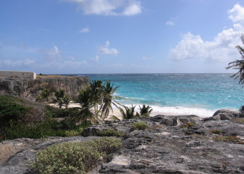 Пляж на Южном побережье, Барбадос. Фото 16 – фотографии Барбадоса