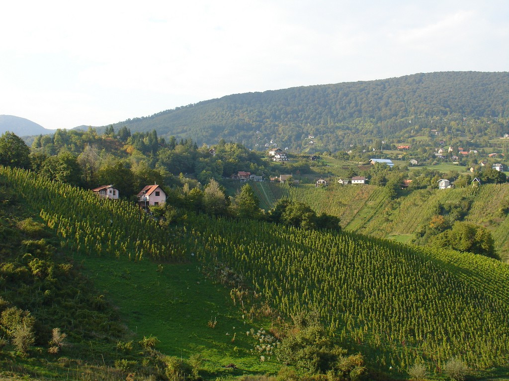 Природа Славонии, Хорватия. Фото 3 – фотографии Хорватии