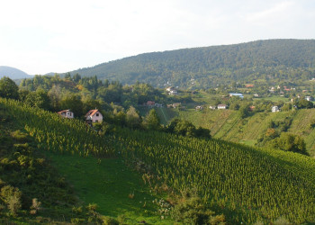 Природа Славонии, Хорватия. Фото 3 – фотографии Хорватии