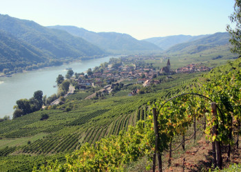 Небольшой городок Вайсенкирхен-ин-дер-Вахау – фотографии Австрии