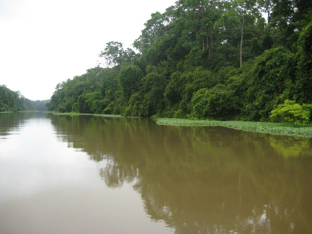 Тортугеро Национальный парк, Лимон провинция, Коста-Рика, фото № 40354 – фотографии Коста-Рики