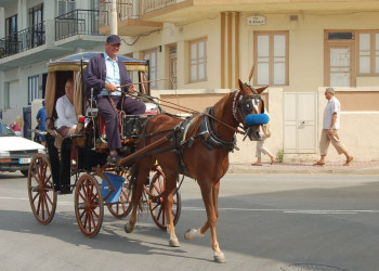 Сент-Полс-Бэй, Мальта остров, Мальта, фото № 42986 – фотографии Мальты