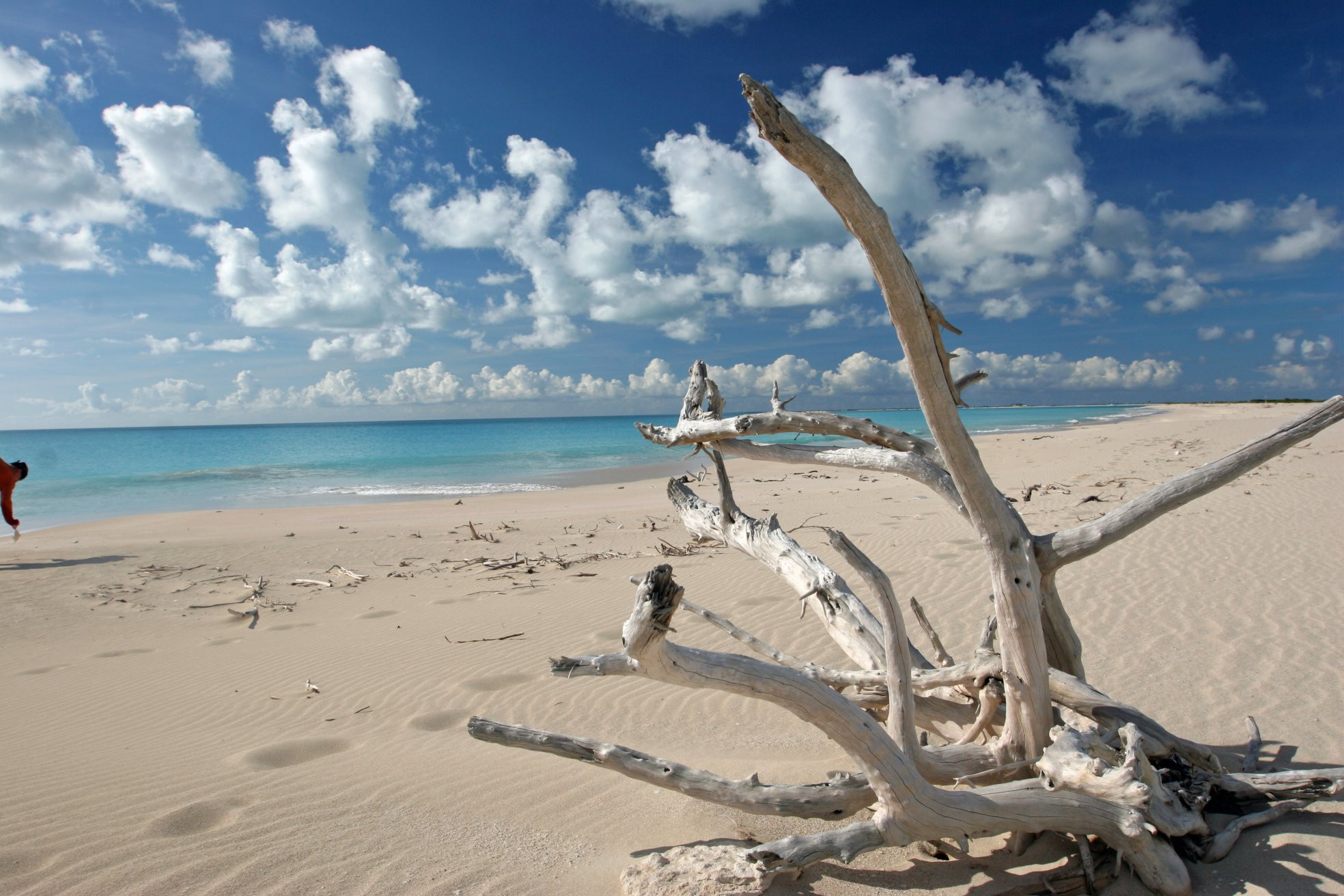 Пляж на острове Барбуда. Фото 6 – фотографии Антигуа и Барбуды