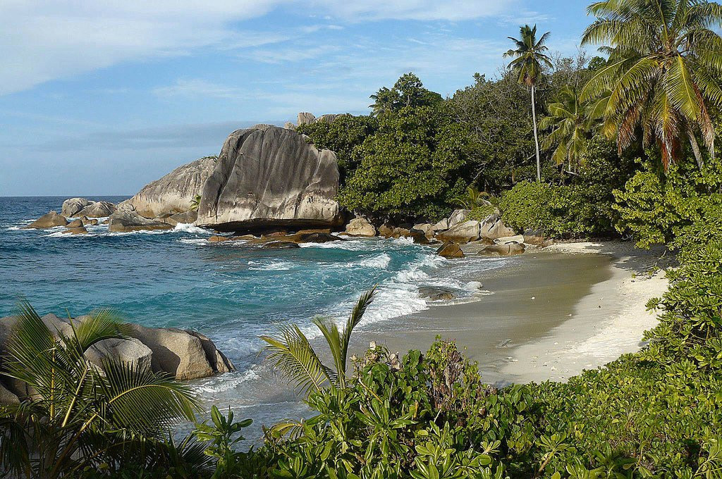 Природа острова Фелисите, Сейшелы. Фото 3 – фотографии Сейшельских островов