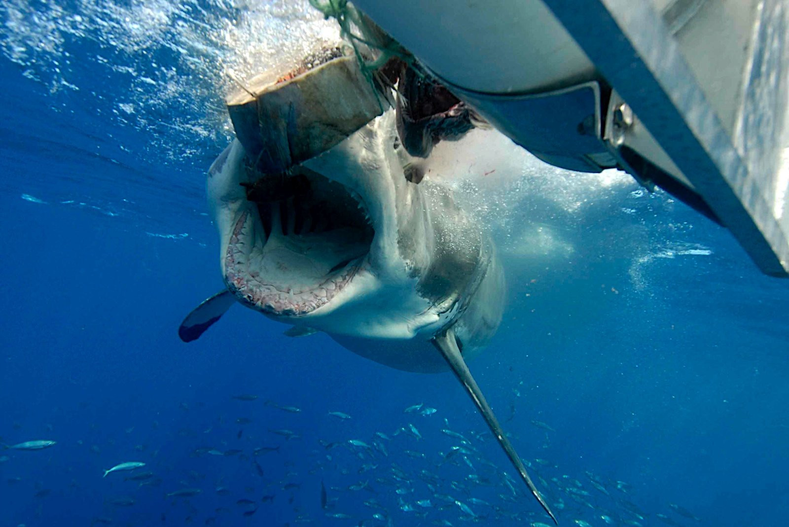 Australia – фотографии Австралии