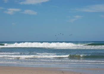 Плайя Санта Тереса, Пунтаренас провинция, Коста-Рика, фото № 40953 – фотографии Коста-Рики