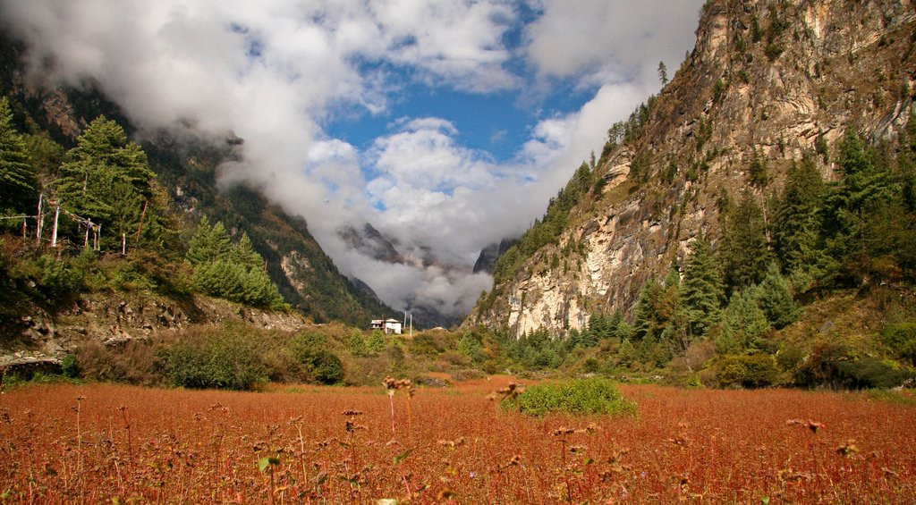 Аннапурна заповедник, Непал, фото № 78895 – фотографии Непала