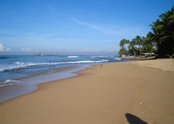 Хиккадува, Шри-Ланка, фото № 52587 – фотографии Шри-Ланки