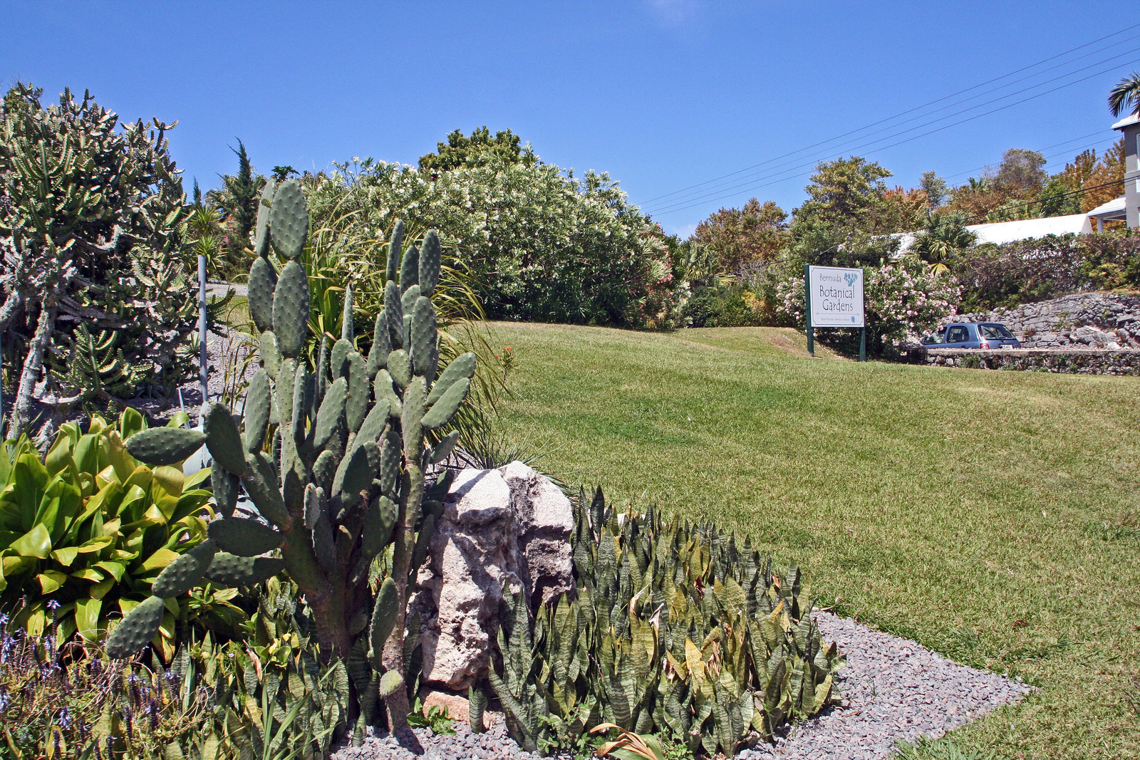 Ботанический сад в Гамильтоне. Фото 3 – фотографии Бермудских островов