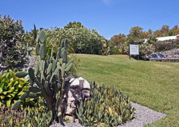 Ботанический сад в Гамильтоне. Фото 3 – фотографии Бермудских островов