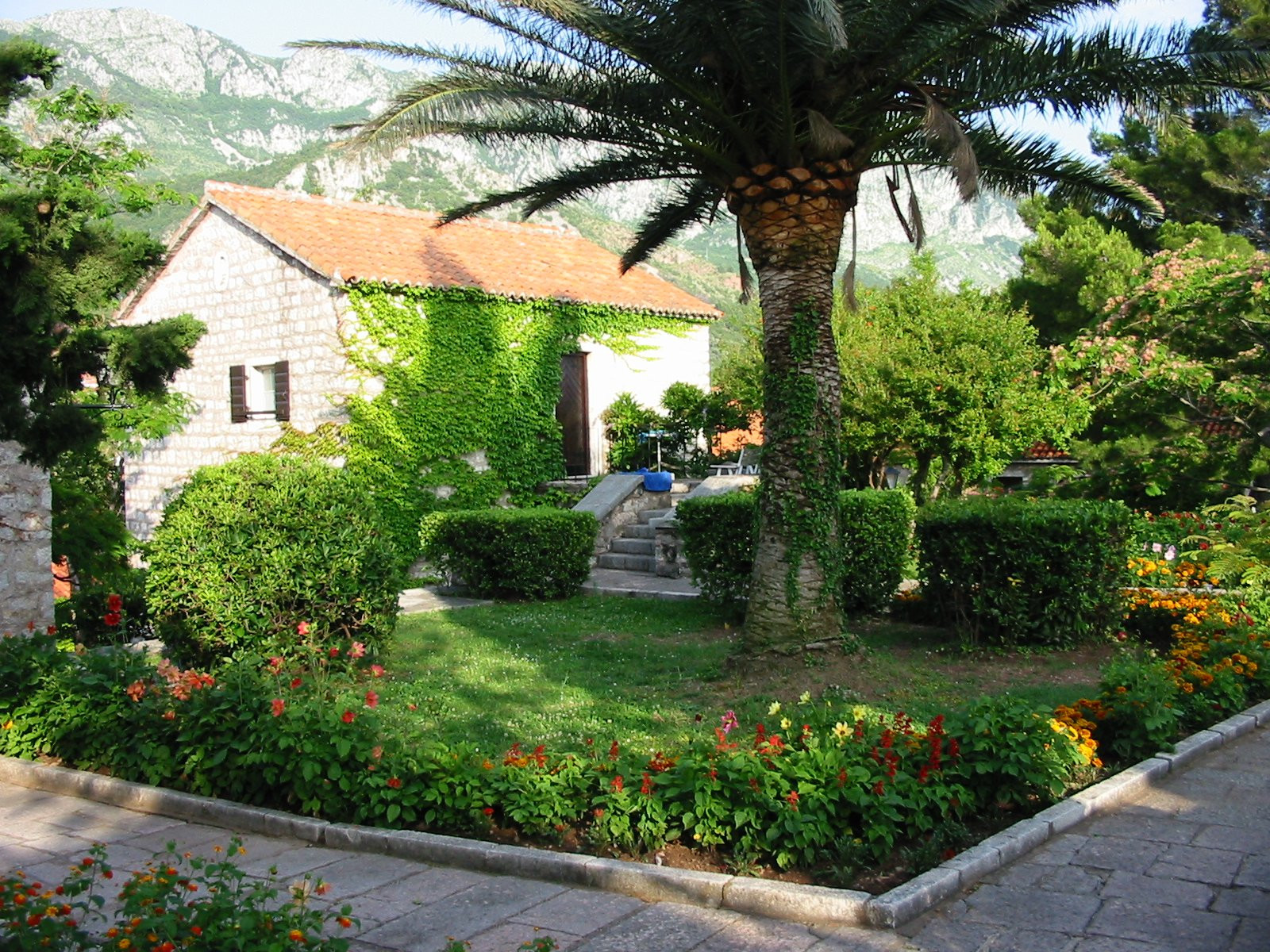 Сад в Святой Стефан, Черногория – фотографии Черногории
