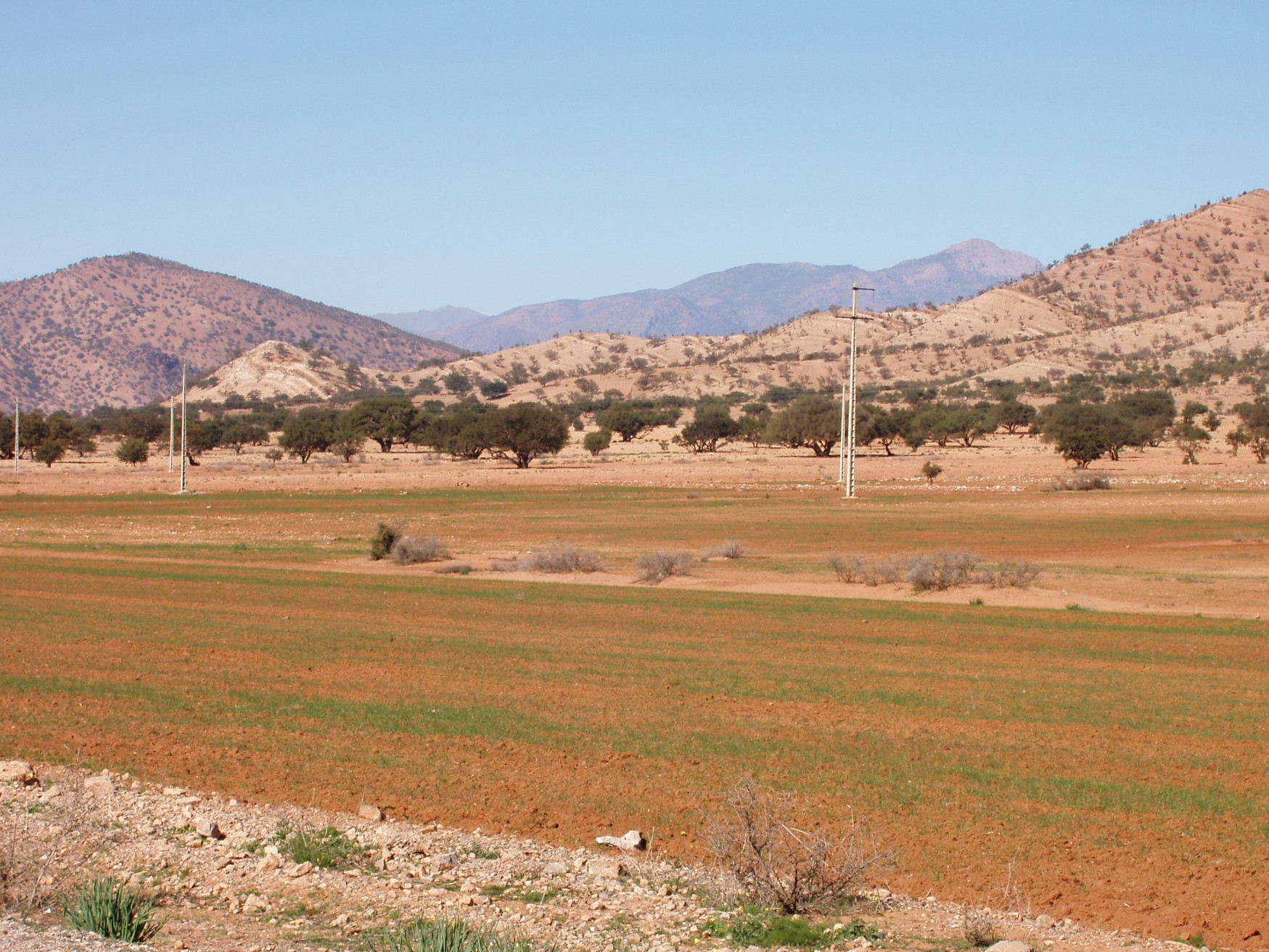 Тарудант, Марокко, фото № 8089 – фотографии Марокко